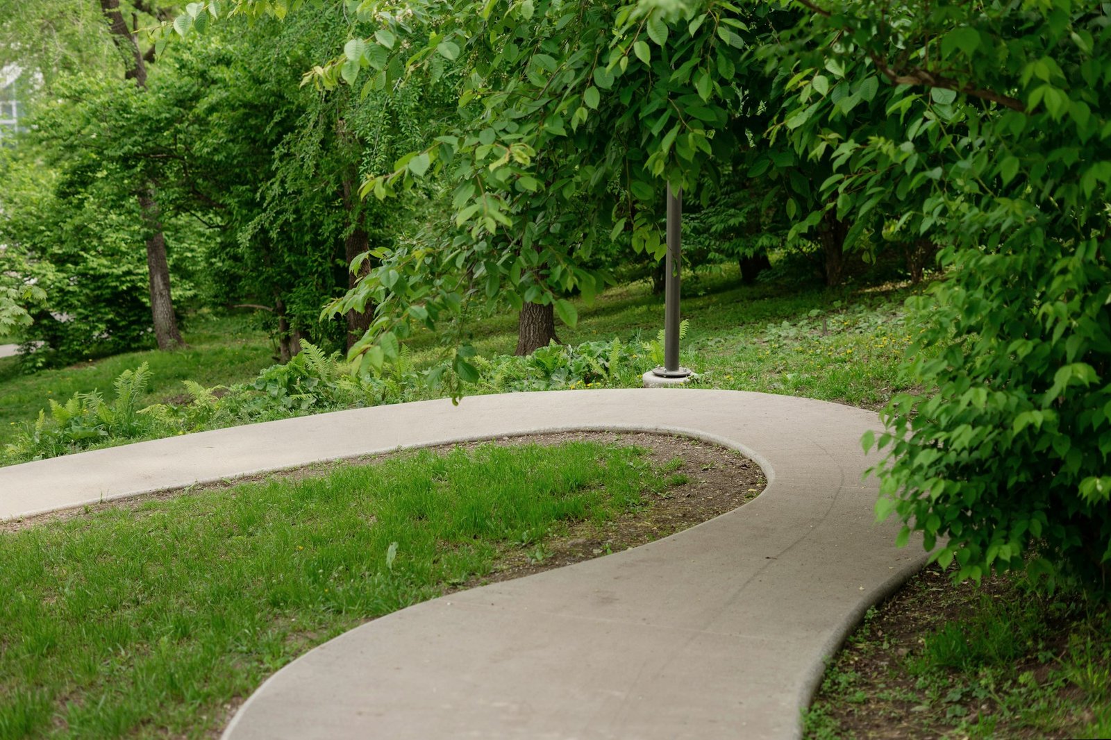 Winding walking concrete path in a summer park.